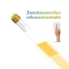 LED T8 18w 3 Step 2000lm Tube Colour Switch Aurum LAMPTAN