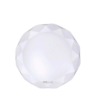 โคมซาลาเปา LED 21w d/l รุ่น WL-CNB2-21D WELLUX