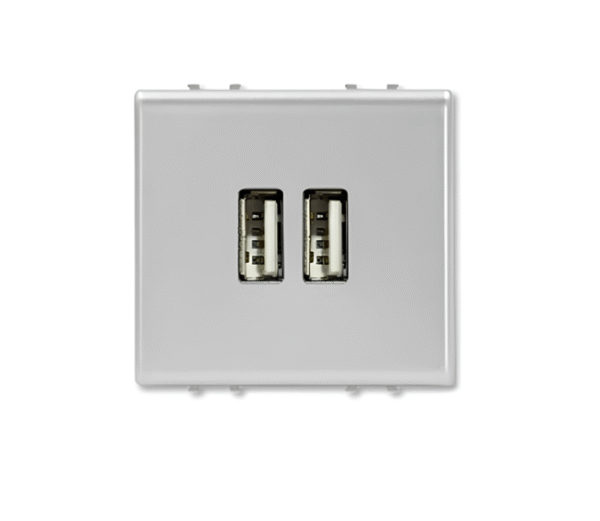 เต้ารับ USB แรงไฟสูงสุด 2,400mA 2 ช่อง สีเงิน AA5285C2T MATIX BTICINO