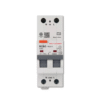 ลูกย่อย RCBO 2P 63A EU TYPE A รุ่น RES11 SAFE-T-CUT