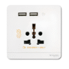 16A Int Socket with 2 x 2.1A USB Charger E8342616USB AVATAR ON E SCHNEIDER