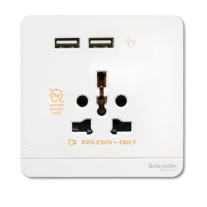 16A Int Socket with 2 x 2.1A USB Charger E8342616USB AVATAR ON E SCHNEIDER