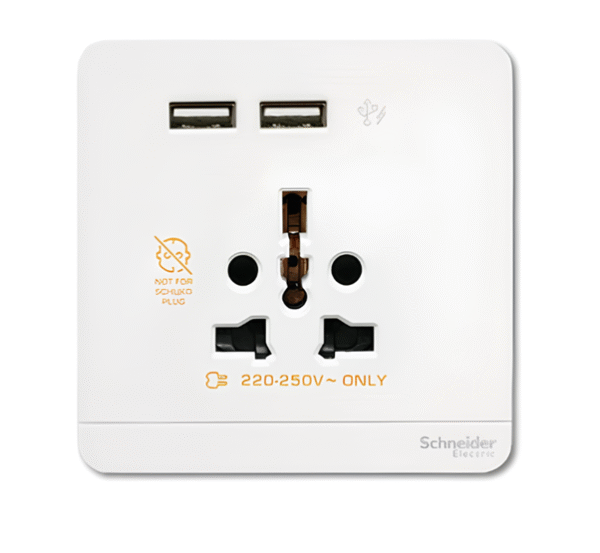 16A Int Socket with 2 x 2.1A USB Charger E8342616USB AVATAR ON E SCHNEIDER