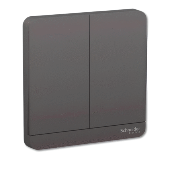 2 Gang Switch cover E8332 AVATAR ON E SCHNEIDER - Image 4