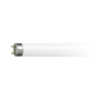 หลอด นีออน สั้น 18W/54 d/l 1025lm PHILIPS