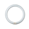 หลอดไฟนีออนกลม TLE 32W/54 PHILIPS