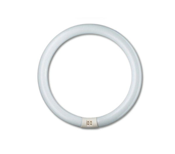 หลอดไฟนีออนกลม TLE 32W/54 PHILIPS