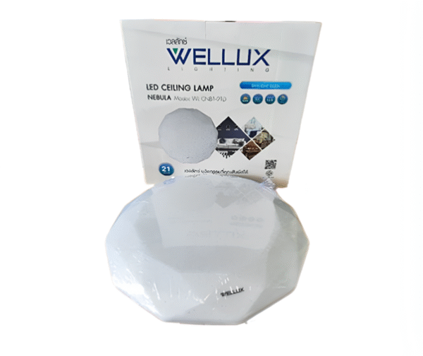 ชุด โคมซาลาเปา LED 21w d/l รุ่น WL-CNB1-21D WELLUX