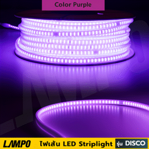 ไฟท่อแบน LED 8w/m ม่วง Purple 480lm #5050 รุ่น Disco IP65 LAMPO