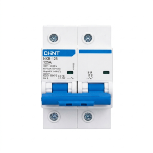 ูกย่อยเซอร์กิจ 2P 125A 10kA EU รุ่น NXB-125H CHINT KOWANN