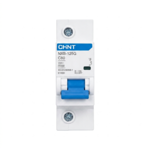ลูกย่อยเซอร์กิจ 1P 80A 10kA EU รุ่น NXB-125G CHINT KOWANN