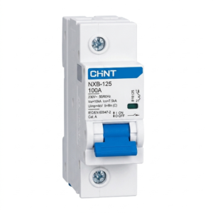ลูกย่อยเซอร์กิจ 1P 100A EU รุ่น NXB-125 CHINT KOWANN