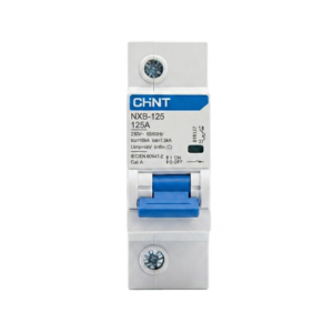 ูกย่อยเซอร์กิจ 1P 125A 10kA EU รุ่น NXB-125G CHINT KOWANN
